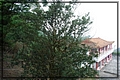 2011-12-18 14-54-45往二尖山途中.JPG